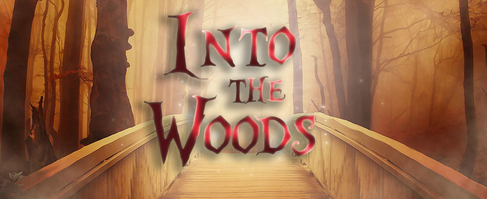 Into-the-Woods