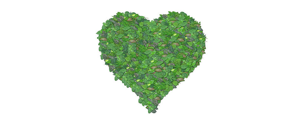 green-heart-1440670_1280